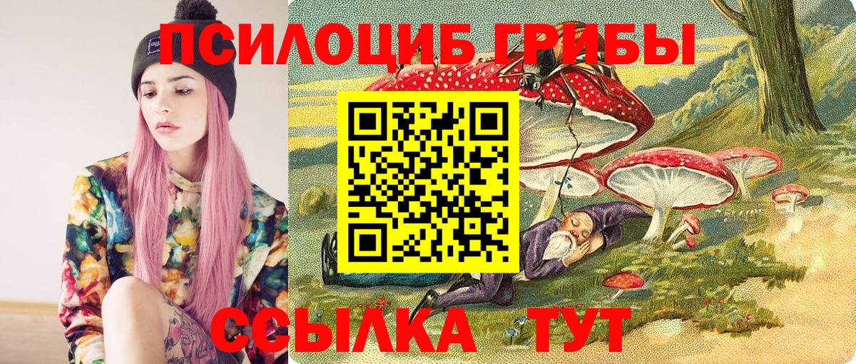 Богородск  Псилоцибиновые грибы Psilocybe  Галлюциногенные грибы MAGIC MUSHROOMS  Вход с VPN 
