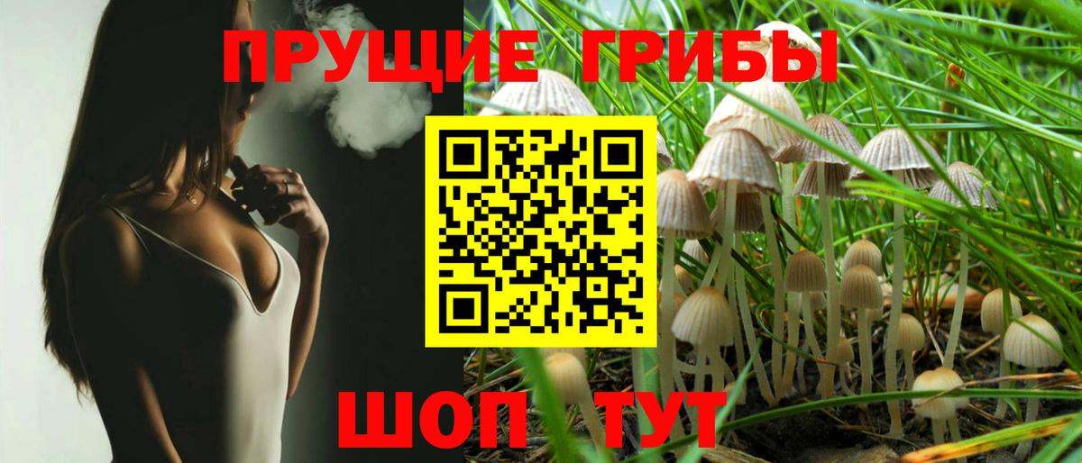 Галлюциногенные грибы Magic Shrooms Богородск